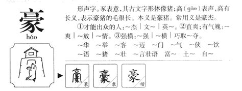 豪字五行|【豪字五行】豪字藴含五行奧秘：揭密豪字五行屬性！